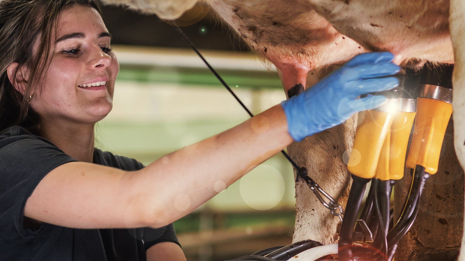 As sludge on the bowl wall thickens, centrifugal force within the MP centrifuge reduces leaving more contaminants and soot in the cleaned oil. This in turn reduces the speed of the centrifuge which is registered by the centriclean SCU.