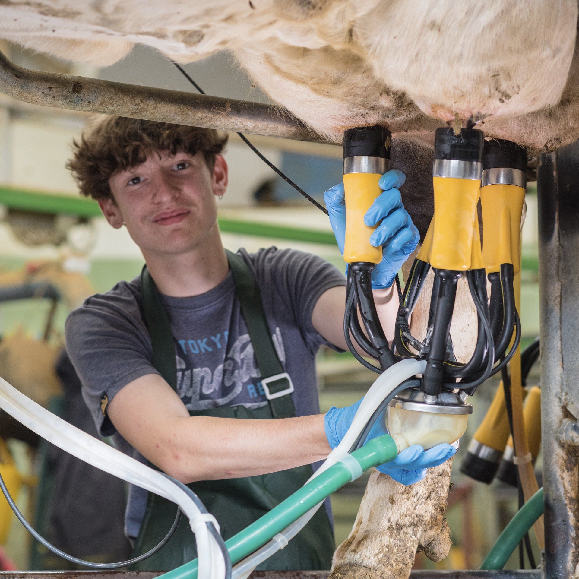 MP centrifuges connect to a choice of external monitors (SCUs) including Bluetooth so you can connect to multiple MP centrifuges through the CentriClean App on your mobile/cell phone.