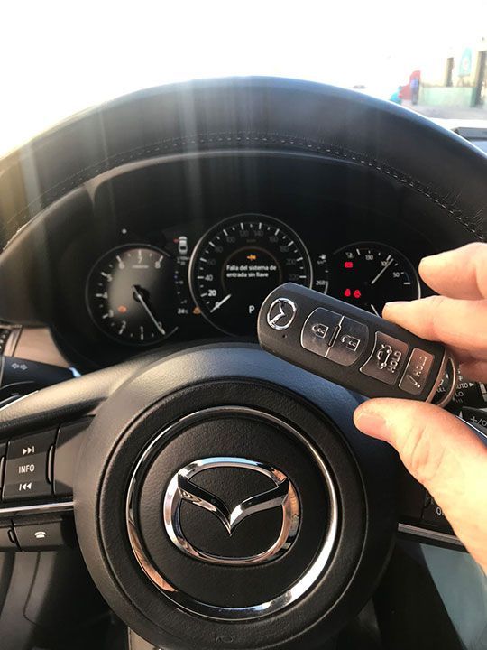 ARBOLITO CERRAJERÍA