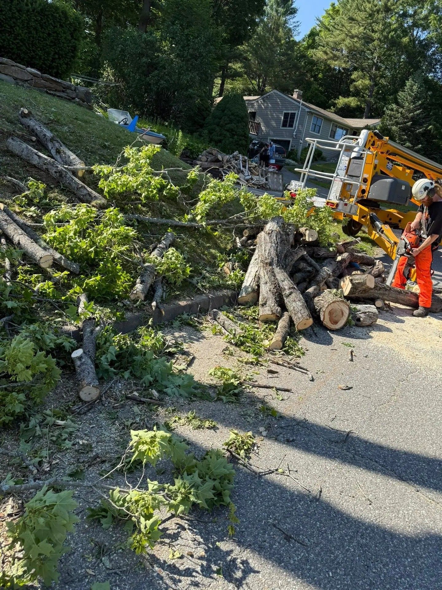 Tree removal in progress; worker with chainsaw, yellow lift, fallen branches, logs, residential setting.