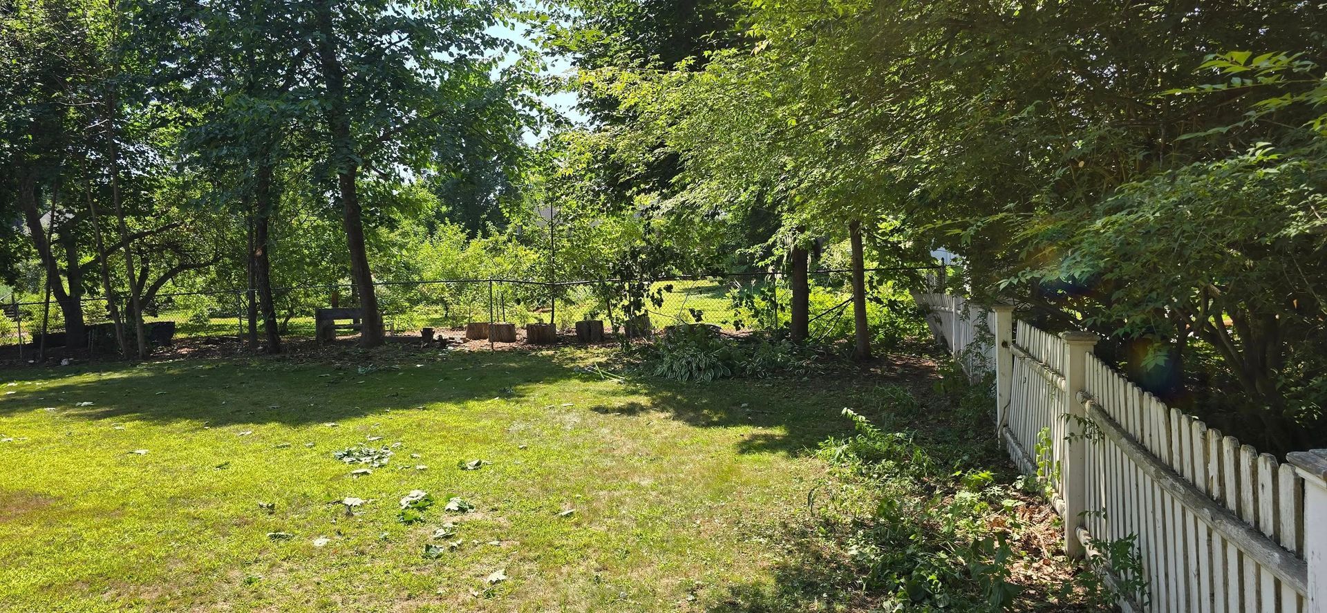 Green yard with trees and a white picket fence.