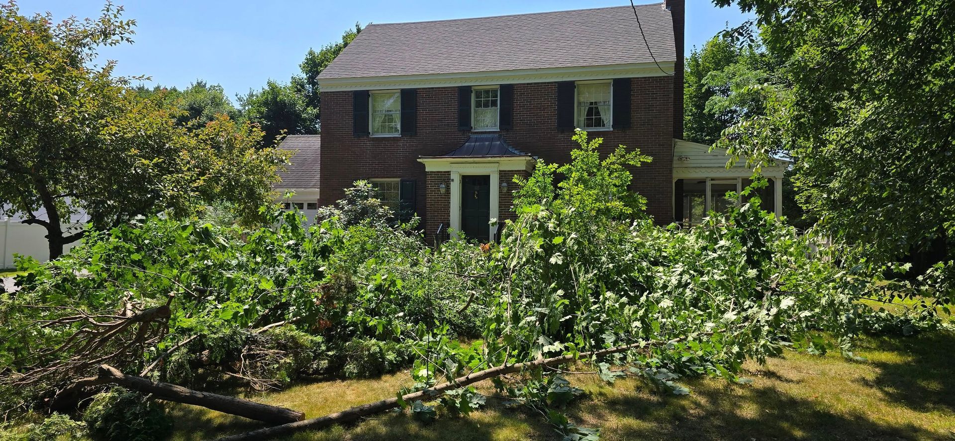 Fallen tree branches in front of a brick house with black shutters on a sunny day.