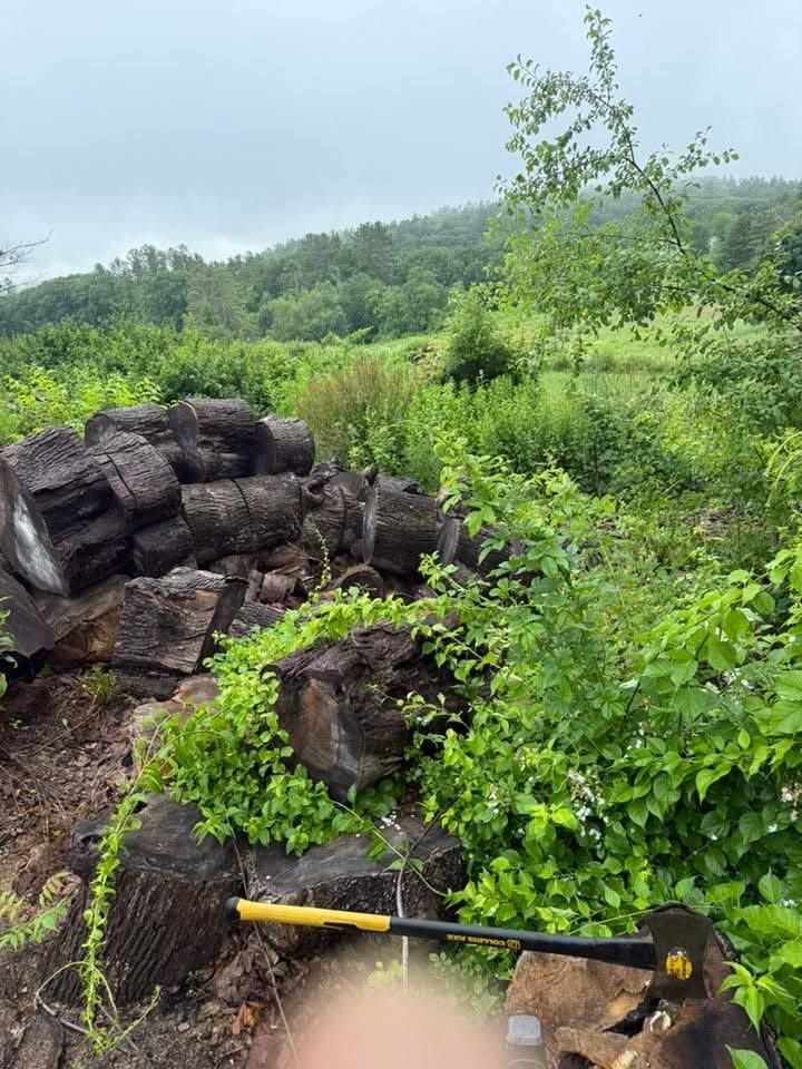 Pile of dark, cylindrical rocks in a grassy field with a distant, forested hill under an overcast sky.
