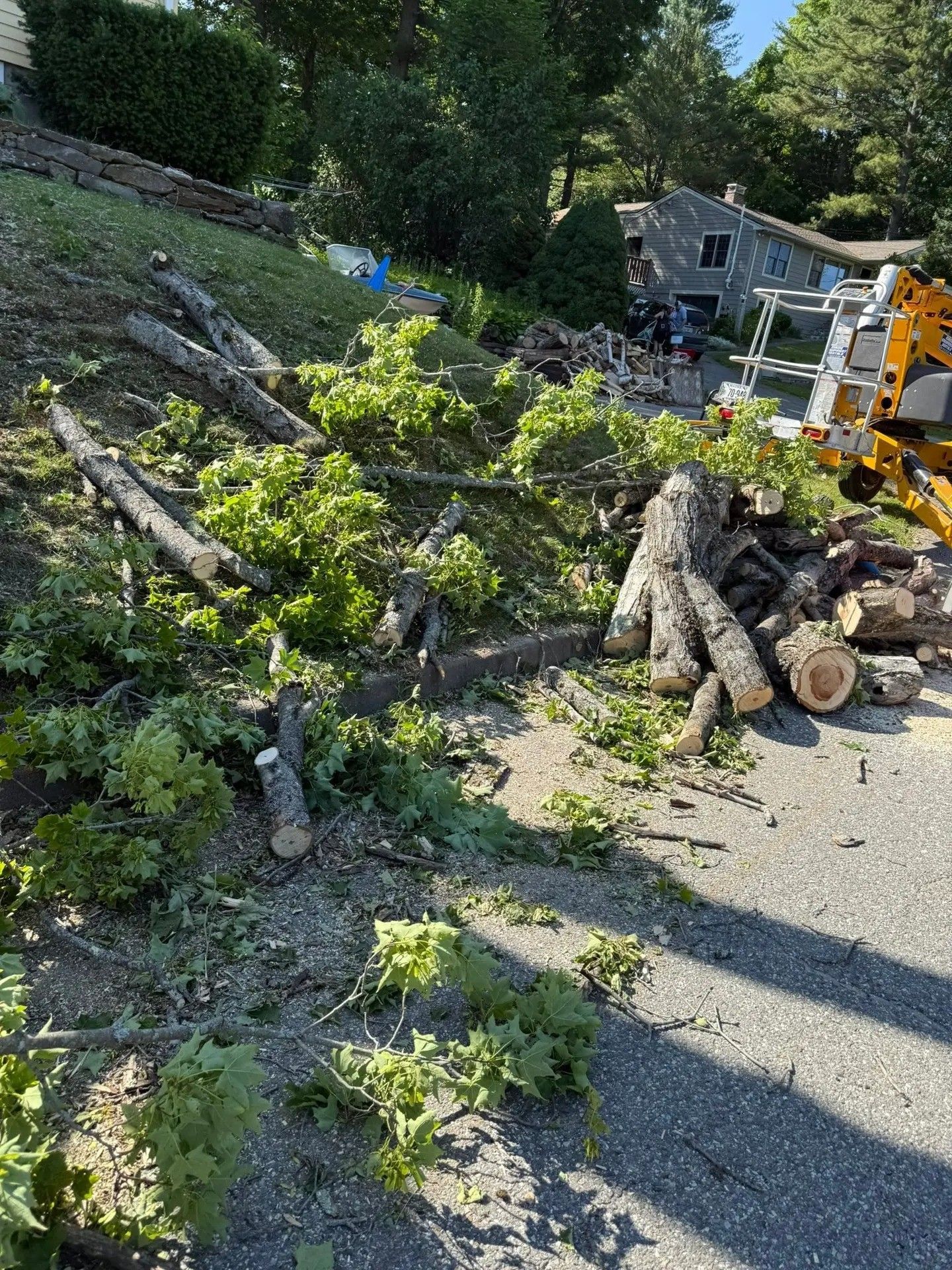 Fallen tree branches and cut logs on a hillside with a house in the background; a wood chipper is visible.