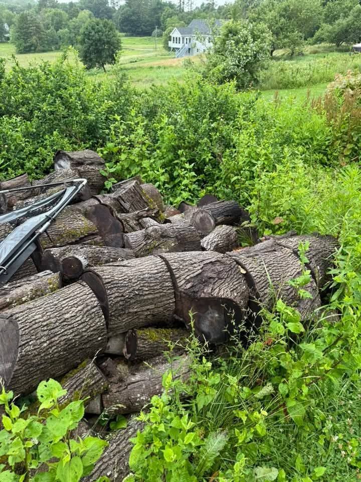 Pile of split logs in grassy area with a house in the distance.