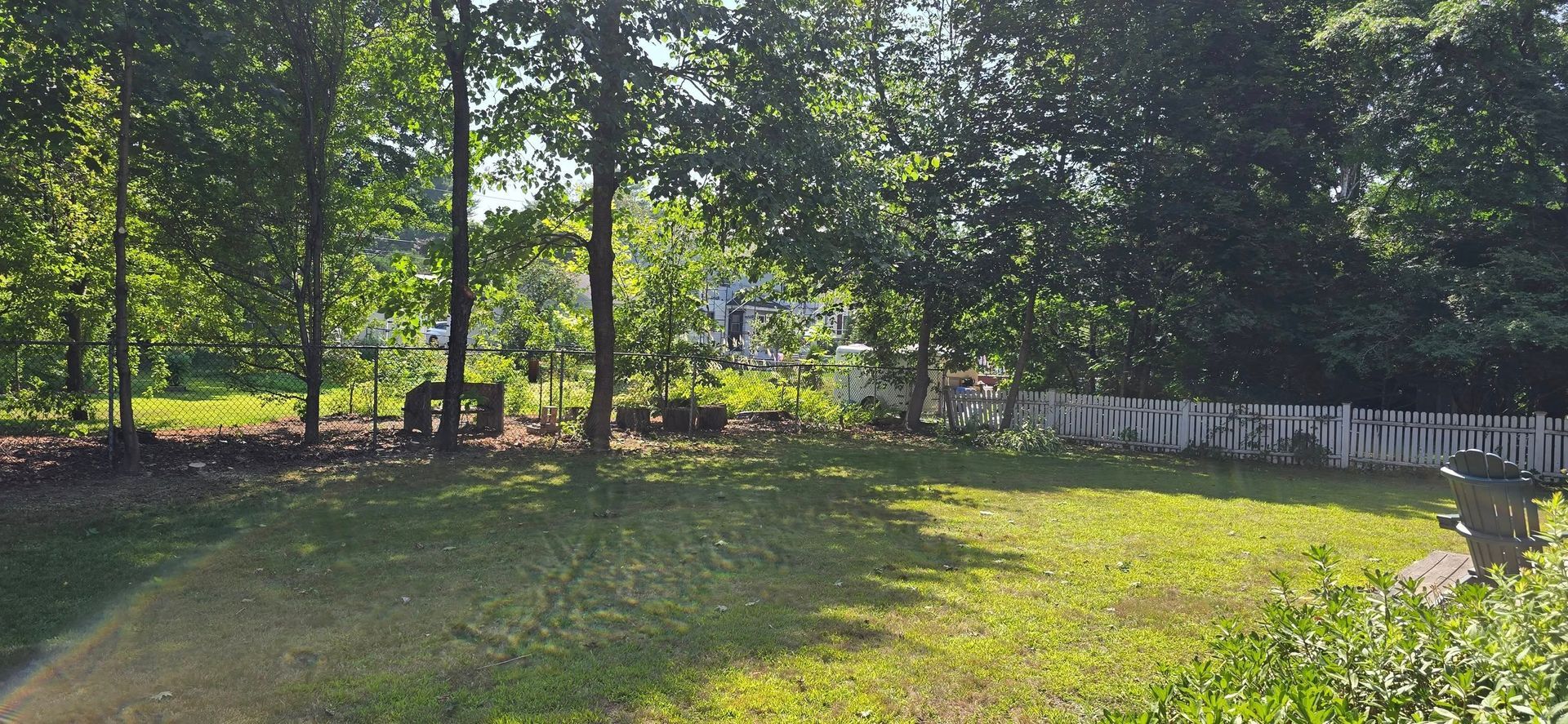 Lush green backyard with trees, grass, and a partially visible white fence. Sunlight filters through the trees.