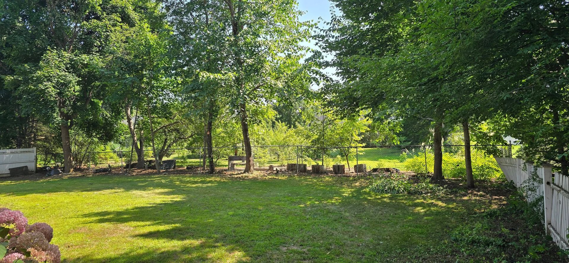 Lush green backyard with grass, trees, and a low stone wall. Sunlight creates shadows.