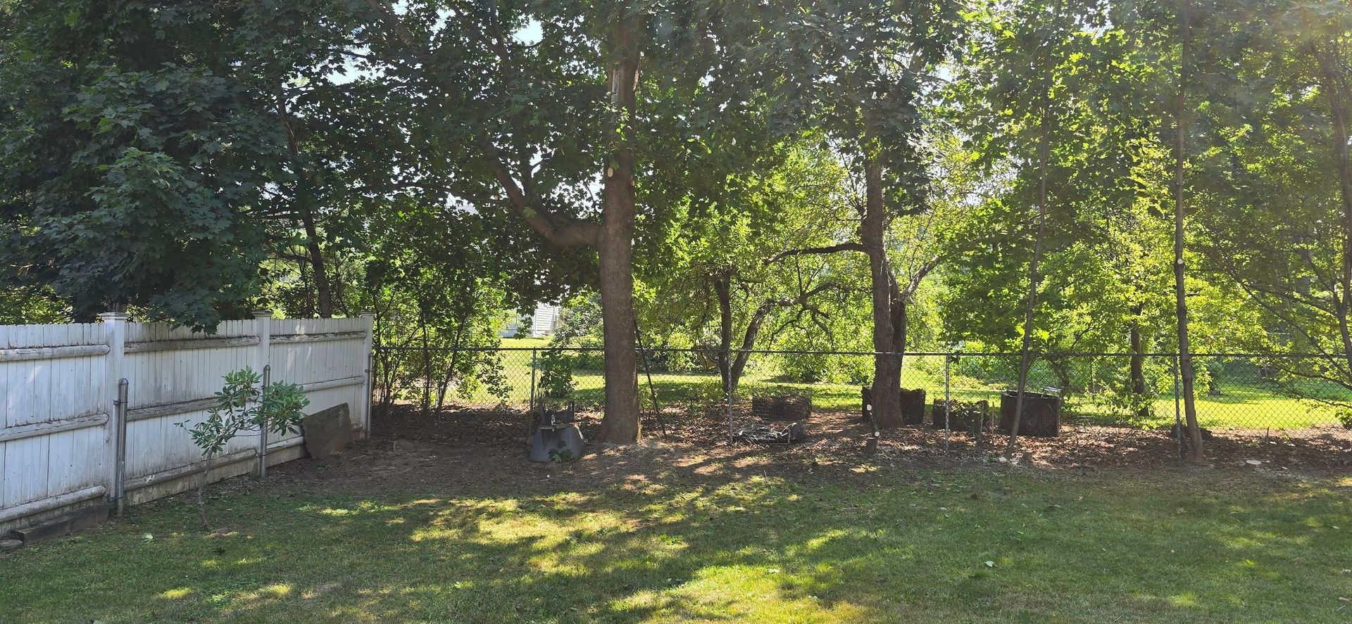 Backyard with a white fence, chain link fence, trees, and green grass.