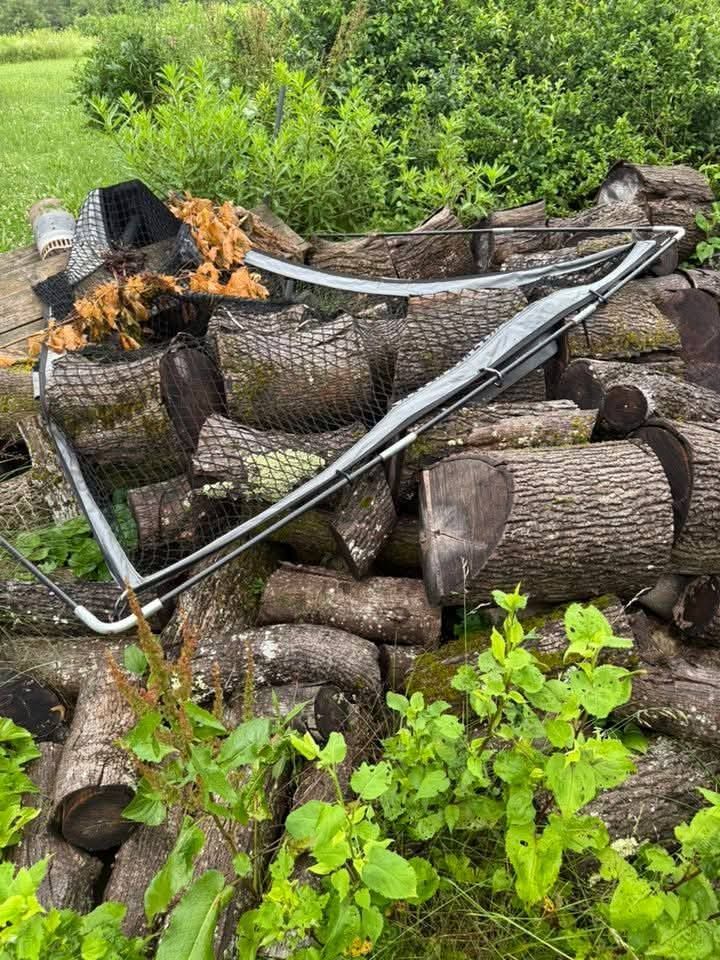 Pile of logs with a black and gray net on top, surrounded by green foliage.