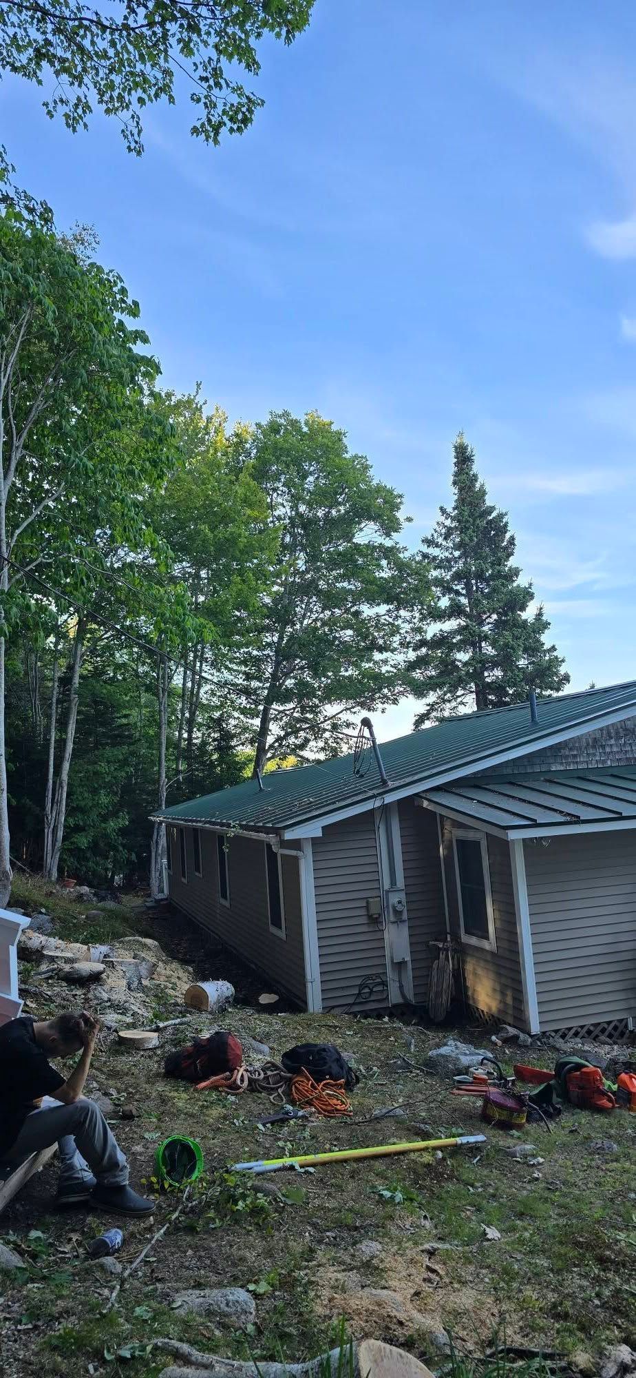 A house with a green roof surrounded by trees and a person sitting in the foreground.