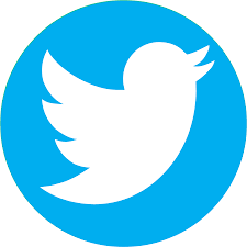 the twitter logo is a white bird in a blue circle .