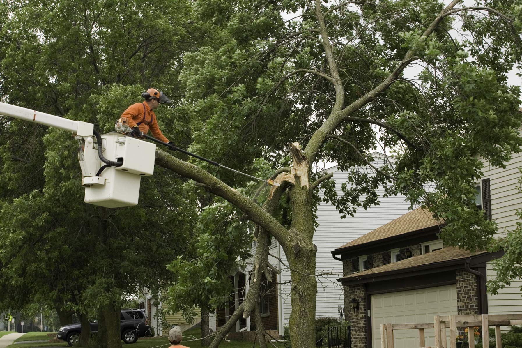 A man trimming a tree in a neighborhood for safety as part of emergency tree removal services