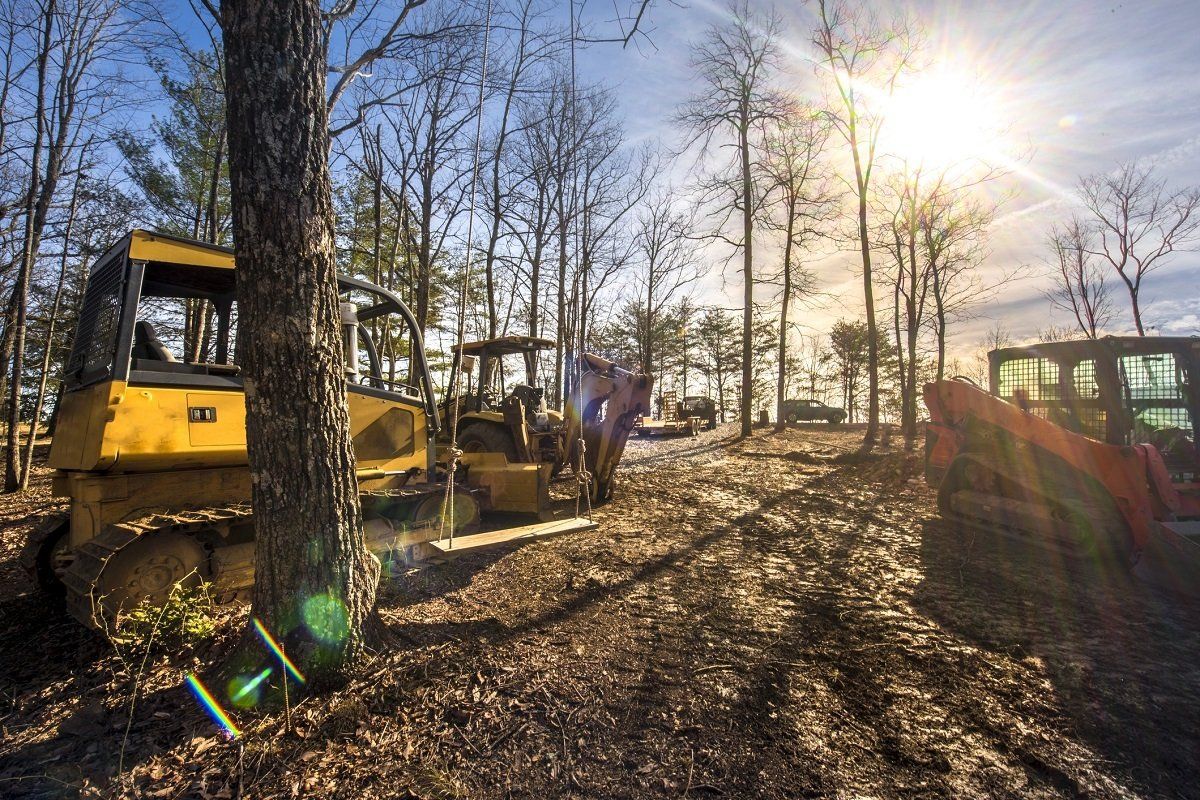 Bobcat equipment – Chesapeake, VA – Absolute Tree Surgeons