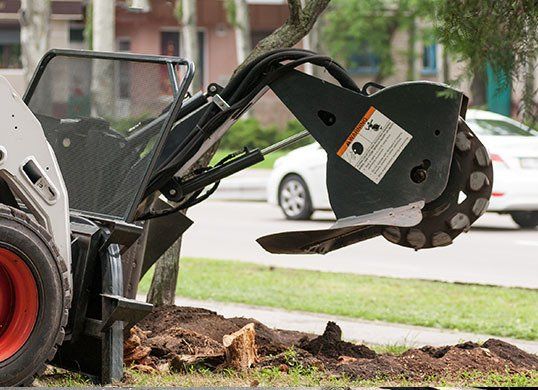 A bobcat is cutting a tree stump on the side of the road.