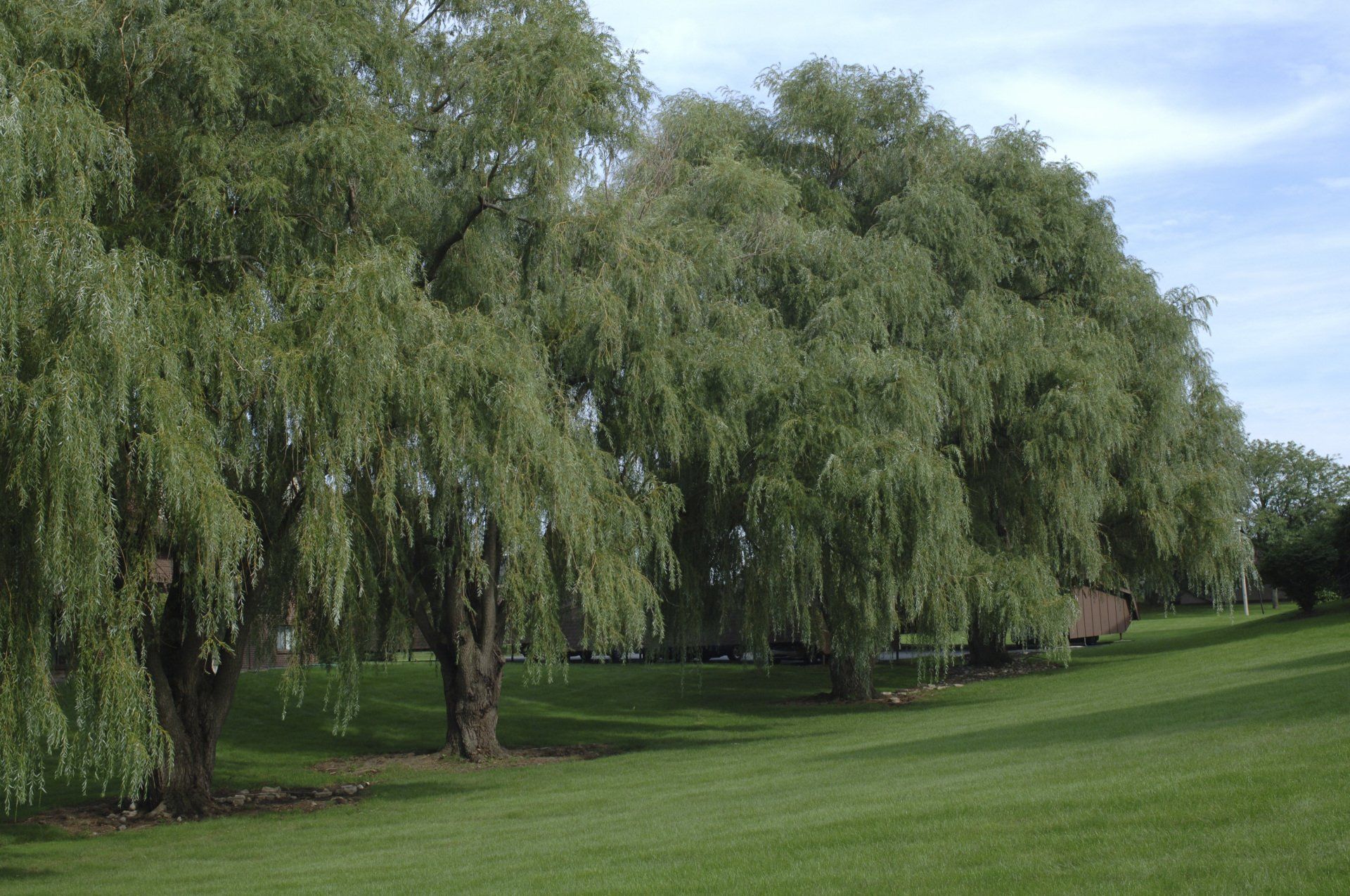 Walnut Hills Kentwood, MI Apartments for Rent Grand Rapids Area Apply Online