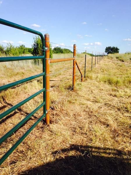 Metal fence posts with tightly stretched wire strands.