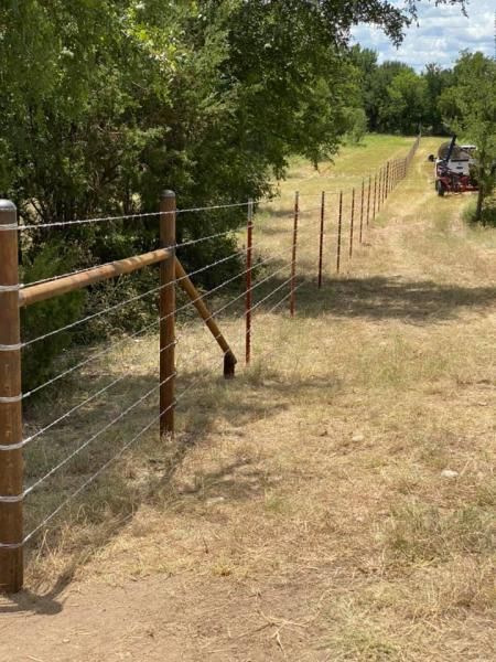 Newly installed barbed wire fence with metal T-posts.