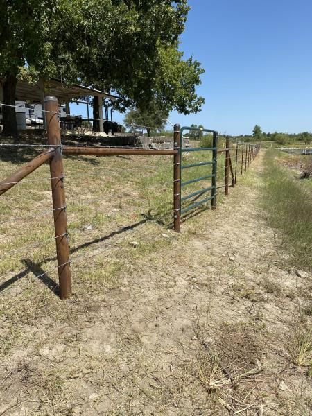 Newly installed livestock fencing with gate.