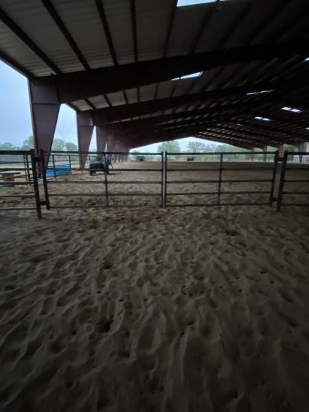 Fence repair with replacement metal post and wire.