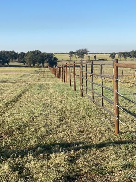 livestock fence