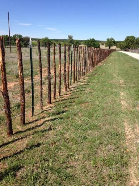 Wooden fence posts supporting multi-strand wire fence.