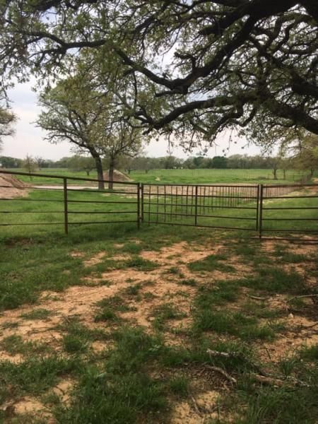 Close-up of barbed wire fence and metal fence posts.