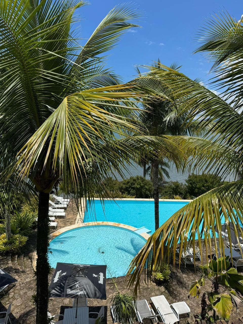 Palmeiras emoldurando uma piscina turquesa sob um céu azul brilhante.
