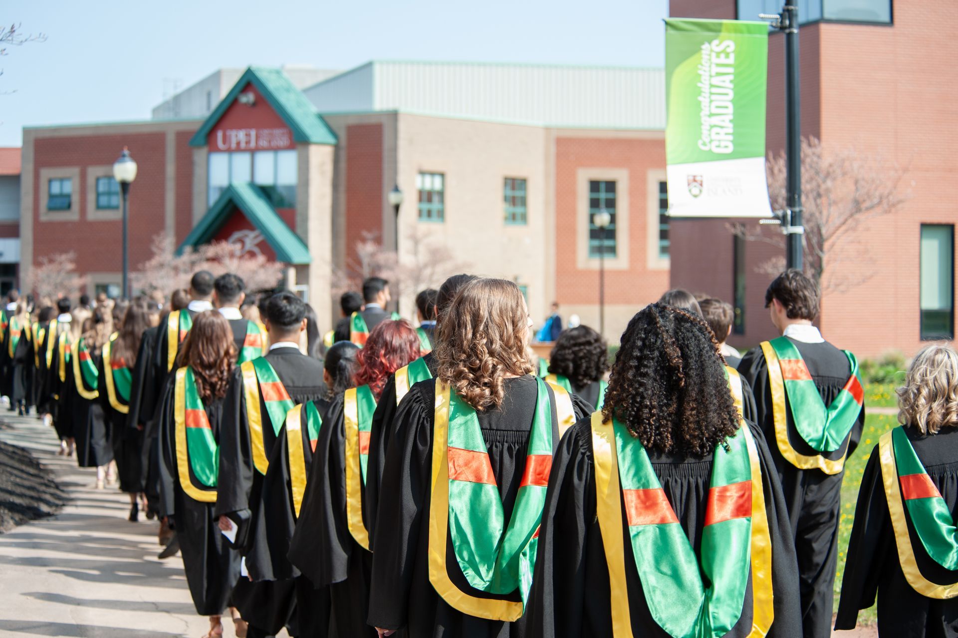 Order Official Frames