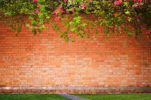 Garden wall installations