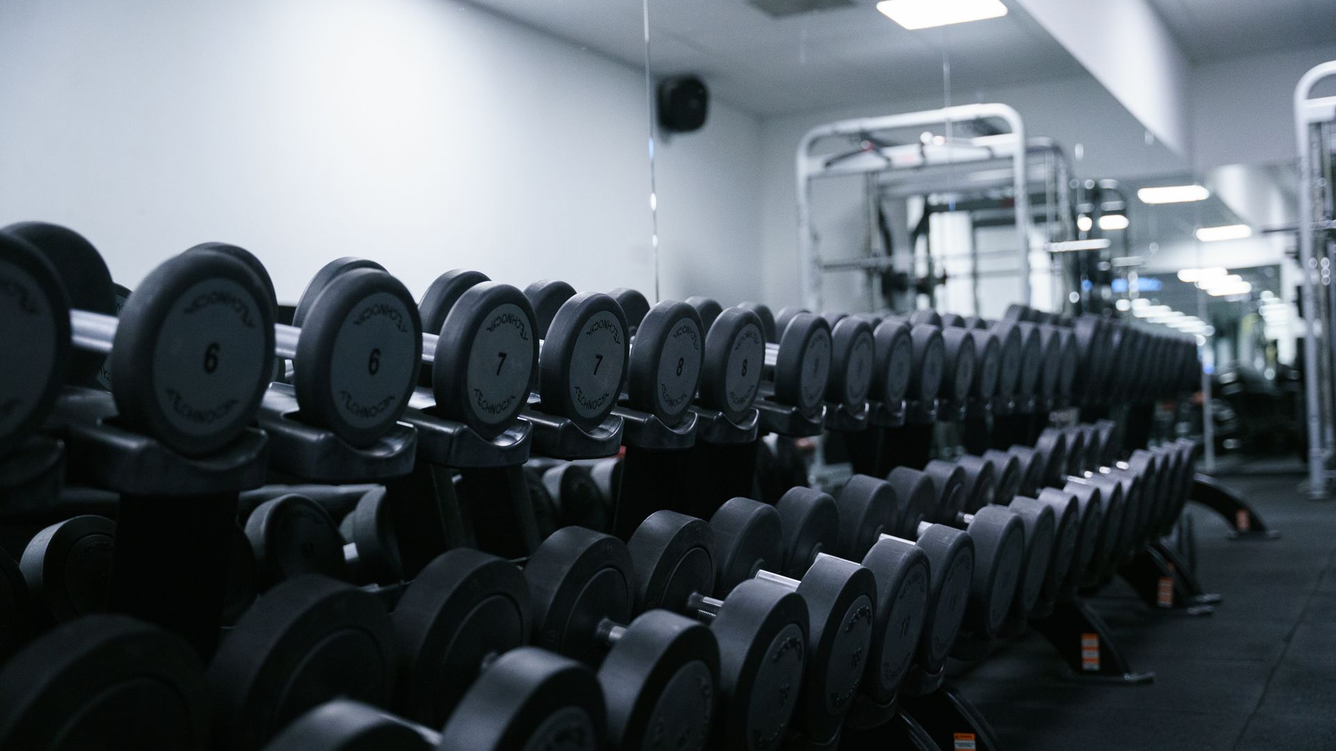 In een sportschool staat een rij halters opgesteld.