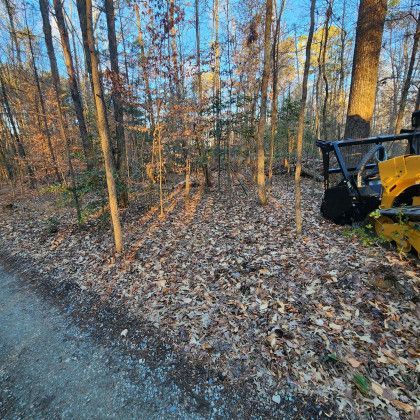 Tractor Hogging the Bushes