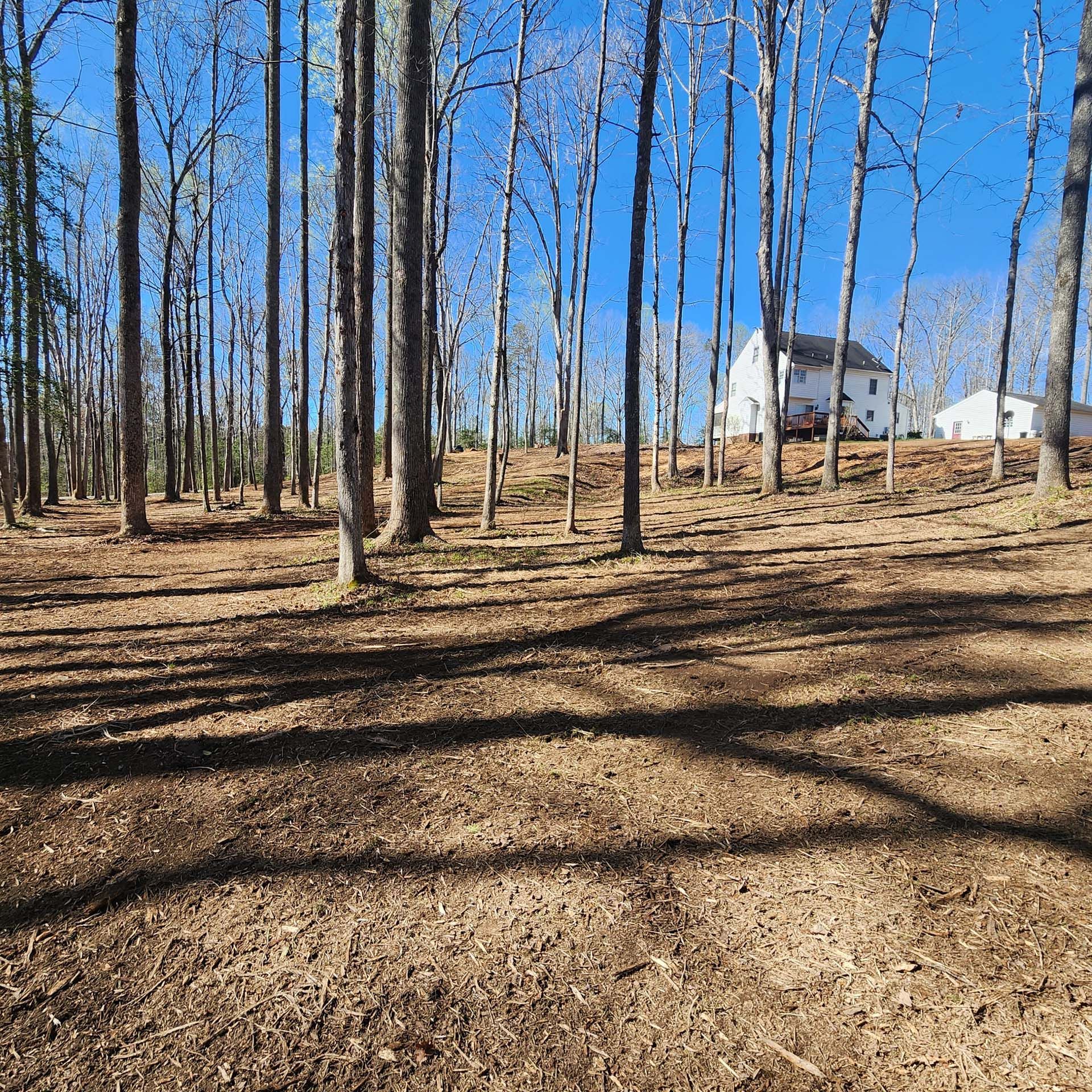 A house is sitting in the middle of a forest surrounded by trees.