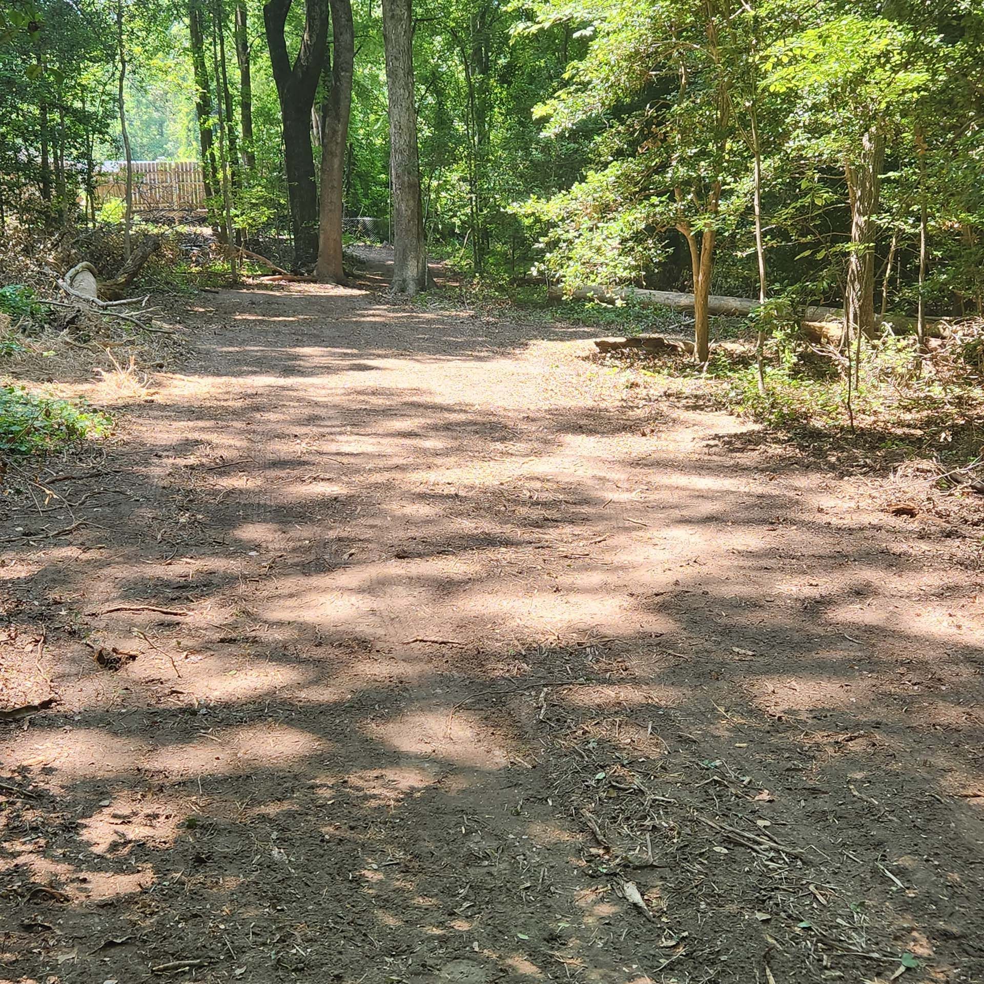 A dirt road in the middle of a forest with trees on both sides.