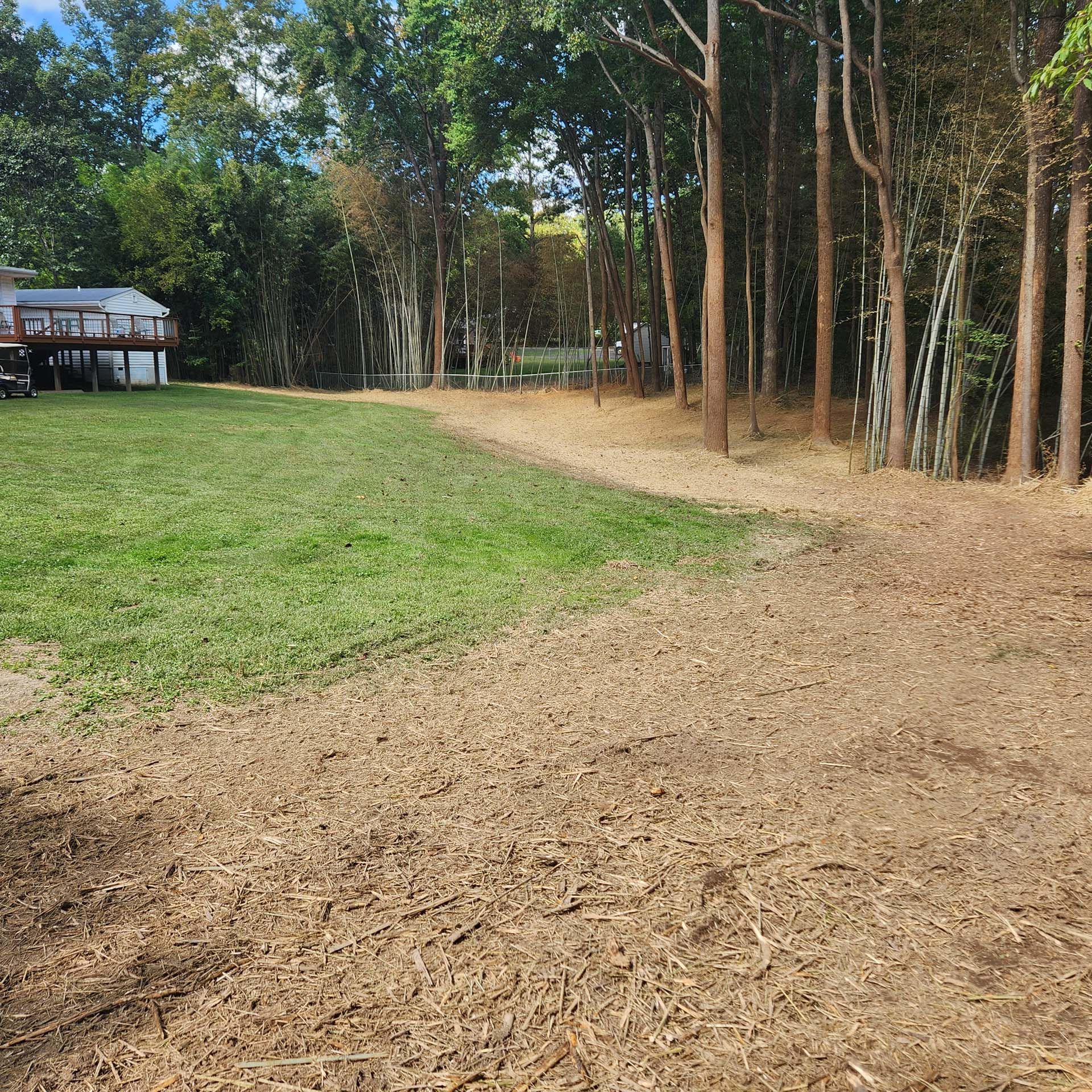 A lush green field with trees in the background