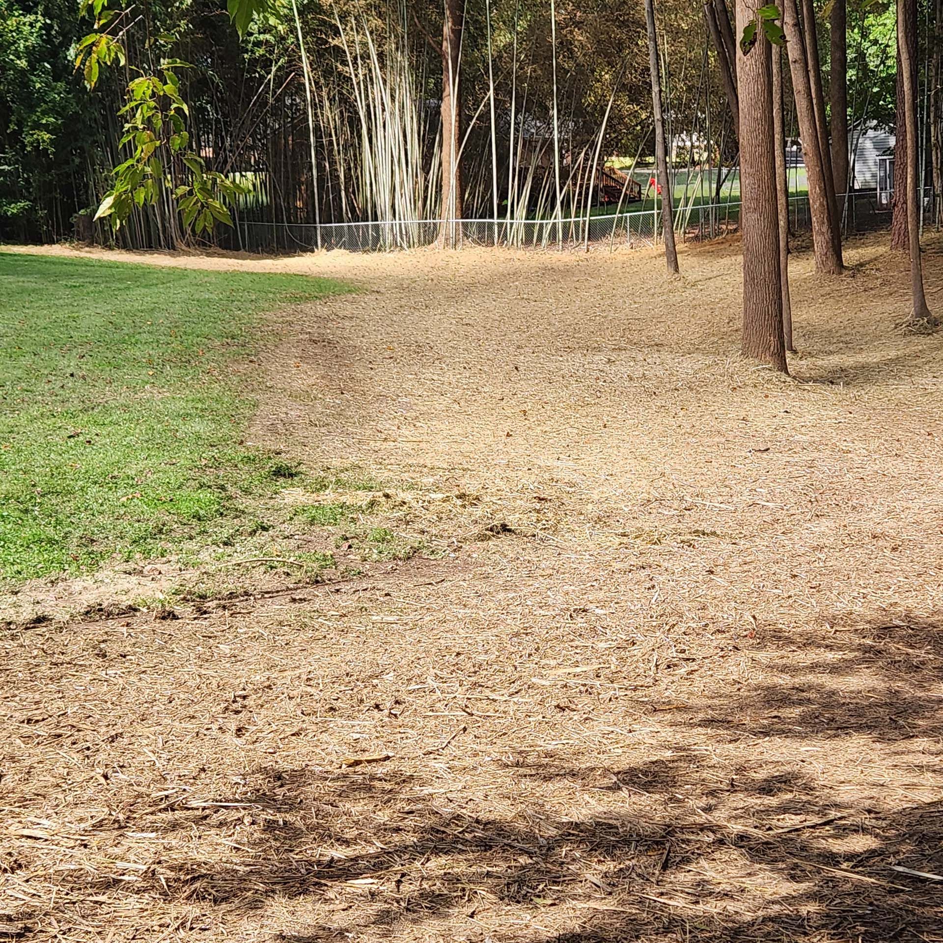 There is a lot of dirt in the middle of the park.