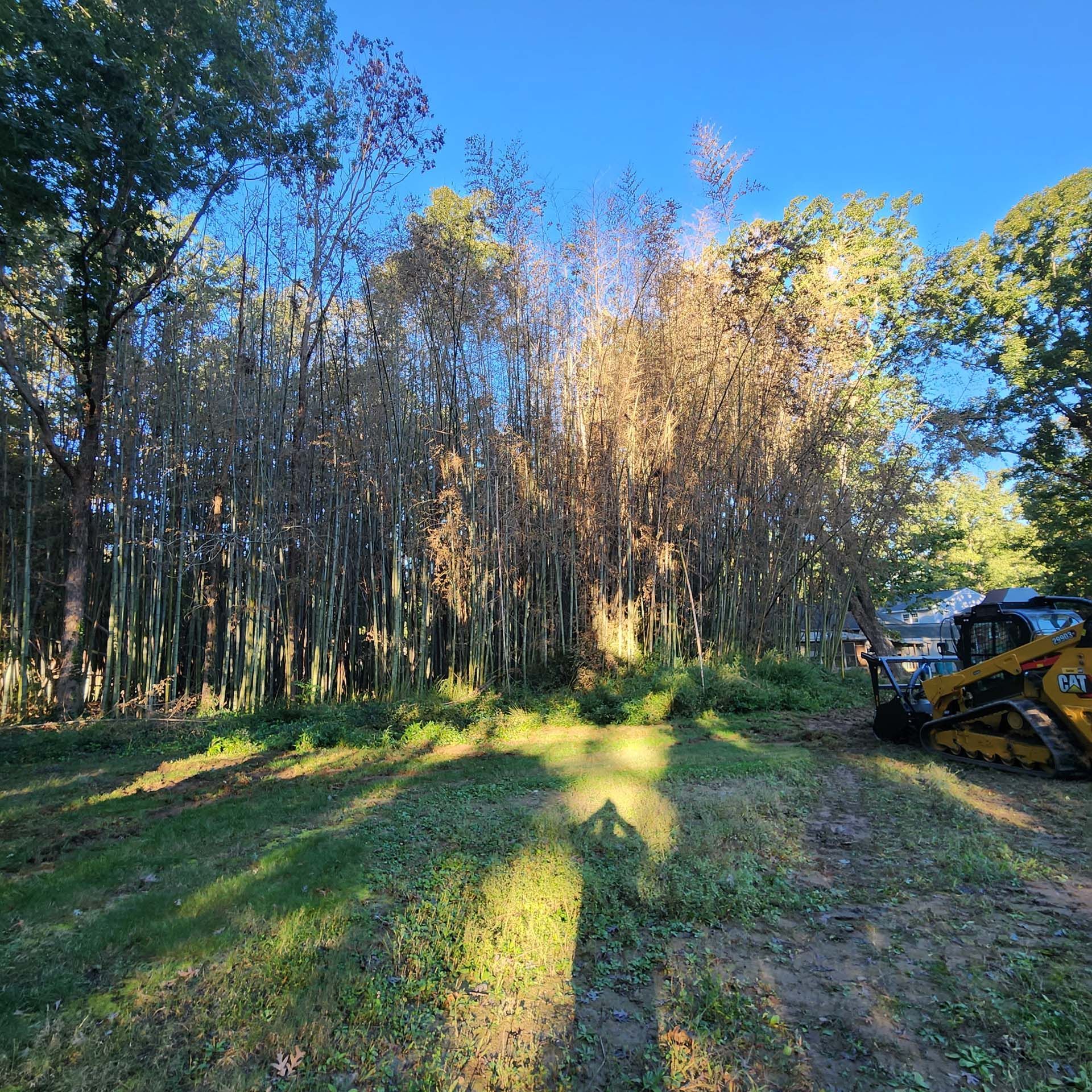 A bulldozer is parked in a field with trees in the background.