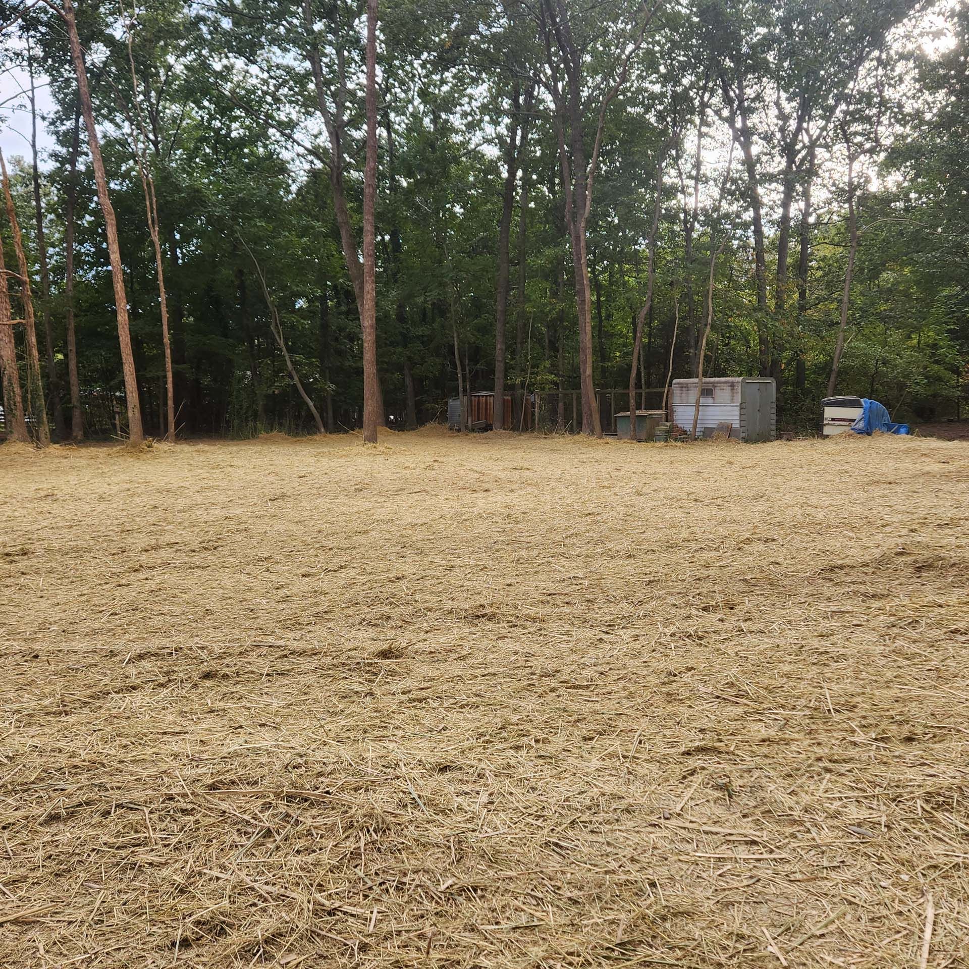 A field of dry grass with trees in the background.