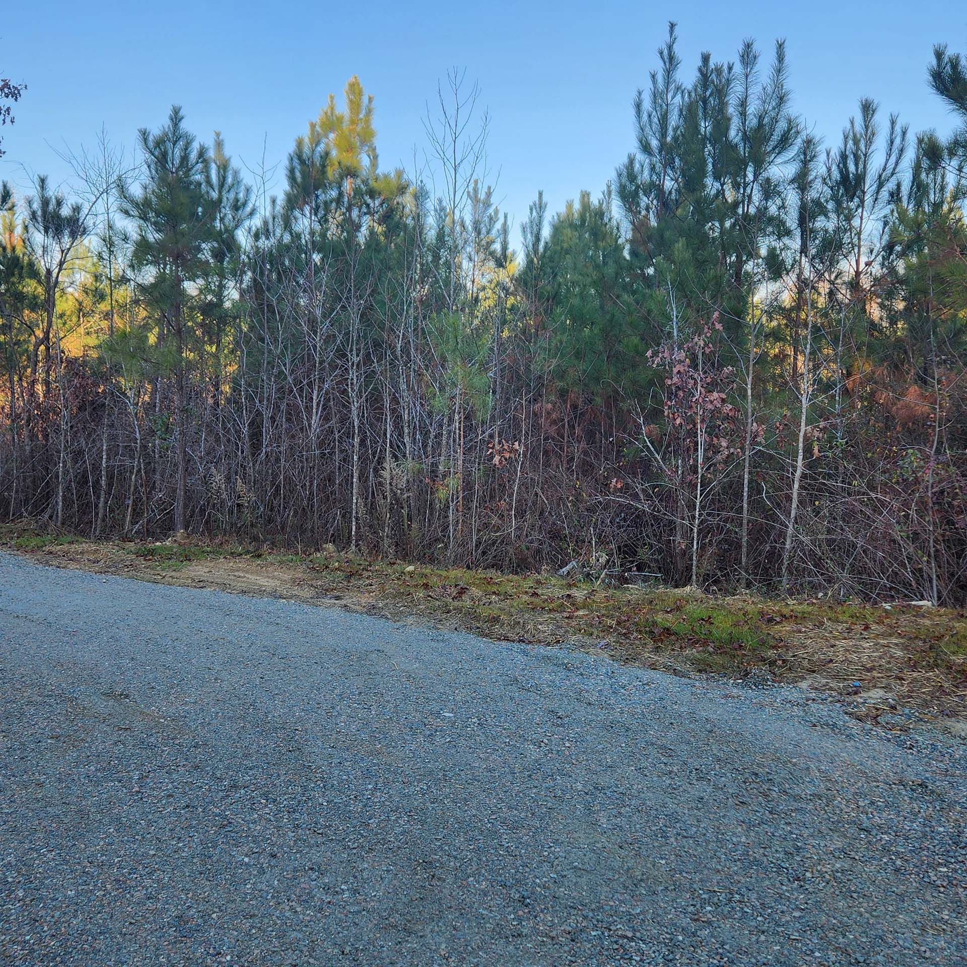 A gravel road going through a forest with trees on both sides.
