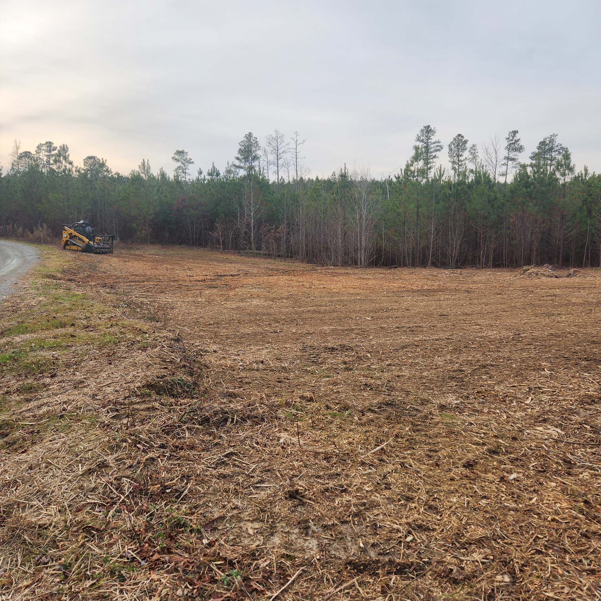 A large field with trees in the background and a road in the foreground.