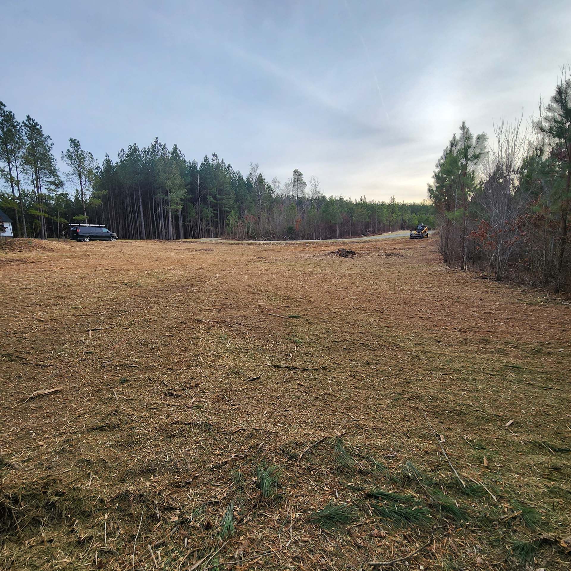 A large field with trees in the background and a road in the foreground.