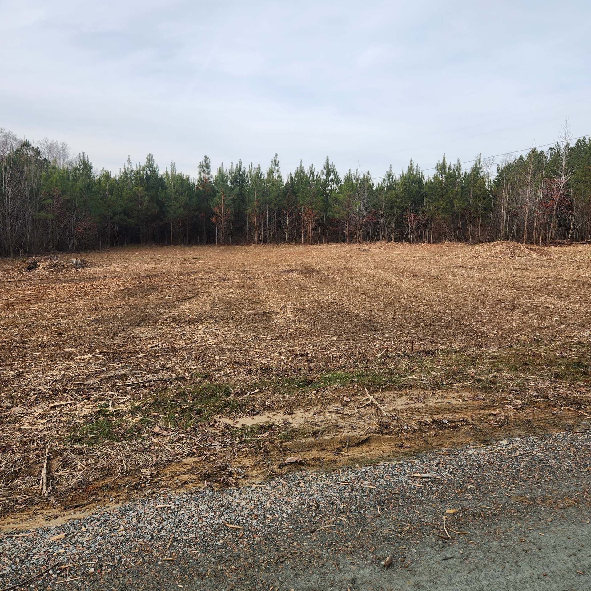 A field with trees in the background and a gravel road in the foreground.