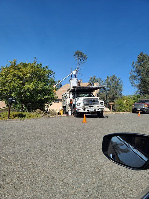 Residential Tree Service In Progress — Oroville, CA — Tree of Life Tree Service
