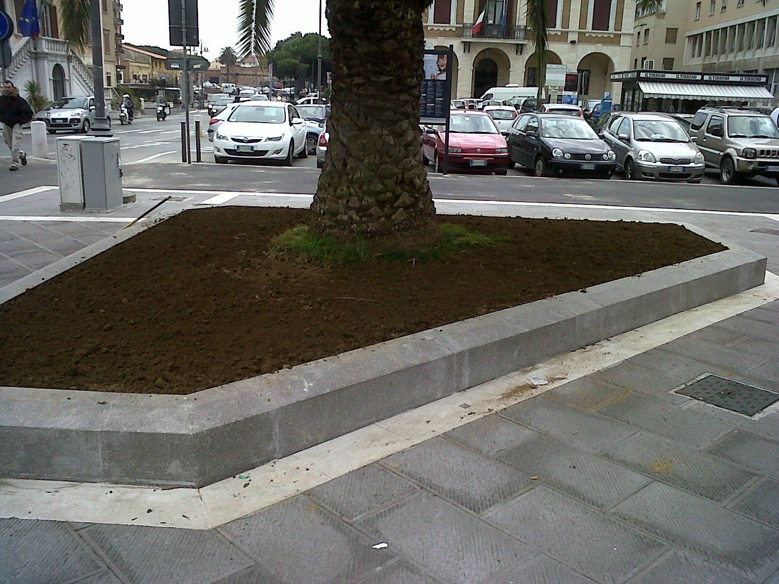 Aiuola triangolare con terreno marrone, circondata da un bordo di cemento grigio su una strada cittadina con auto parcheggiate.