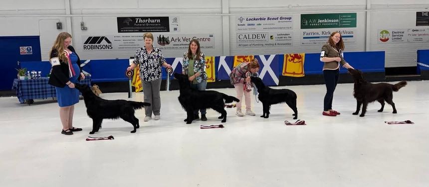 Best In Show Line Up April 2023