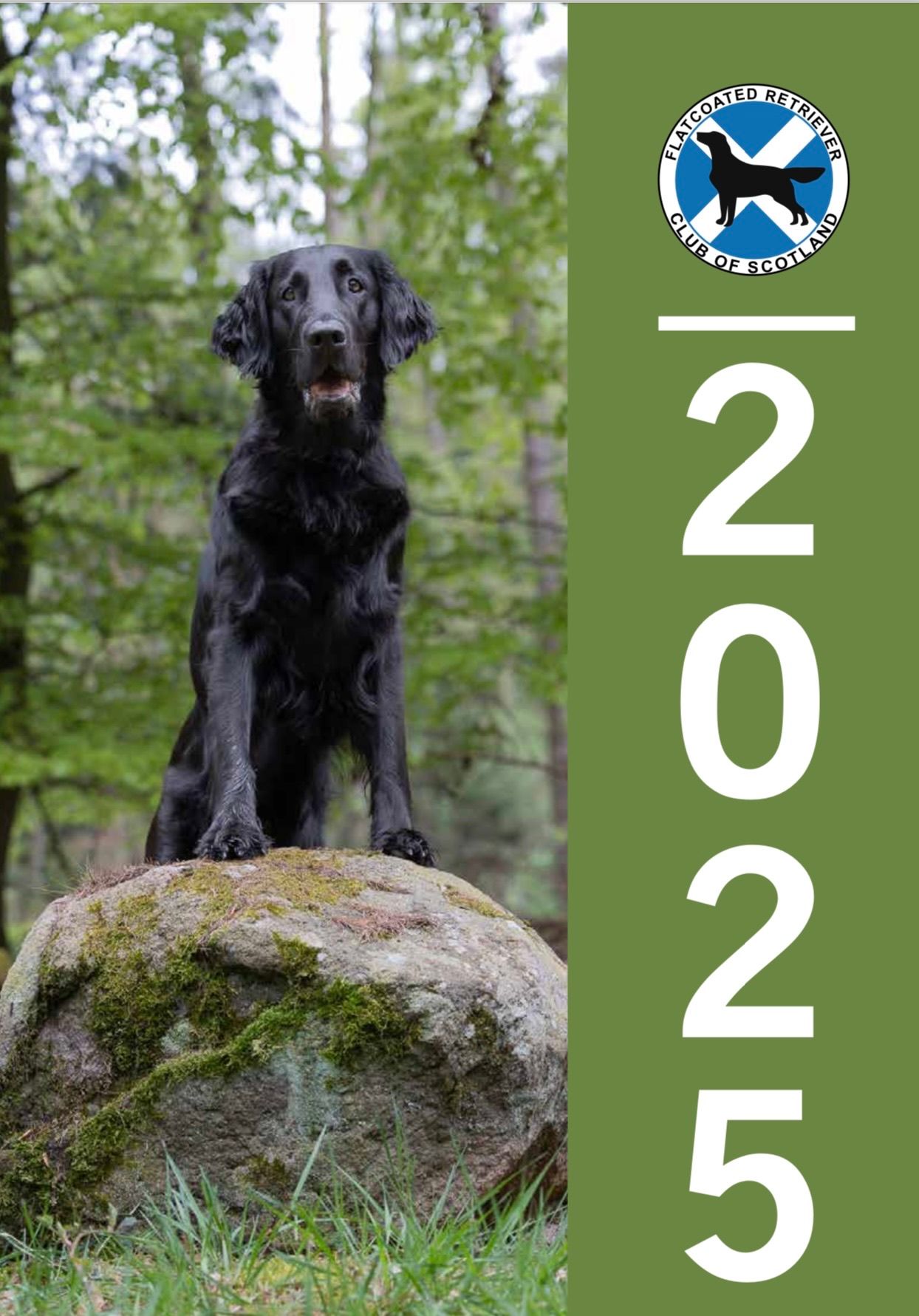 Flatcoated Retriever Club of Scotland 2022 Calendar