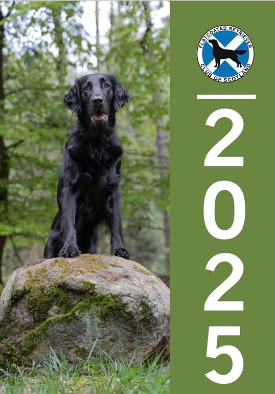 Flatcoated Retriever Club of Scotland 2022 Calendar