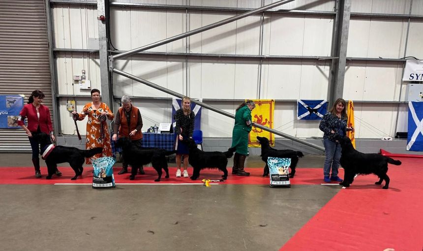 Best In Show Line Up April 2023