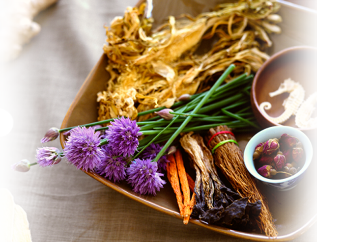 Medicinal herbs, photograph