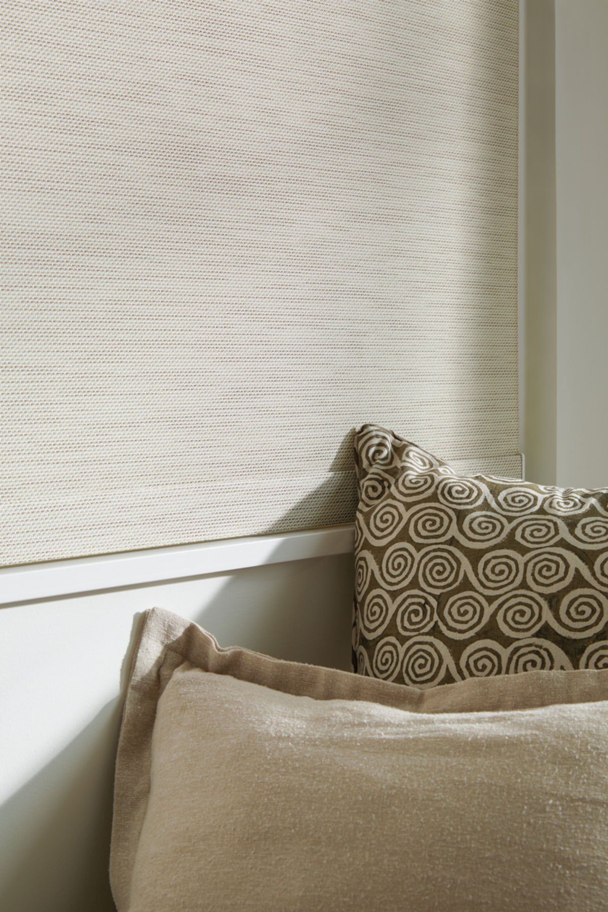 Hunter Douglas Vignette Cochrane blinds