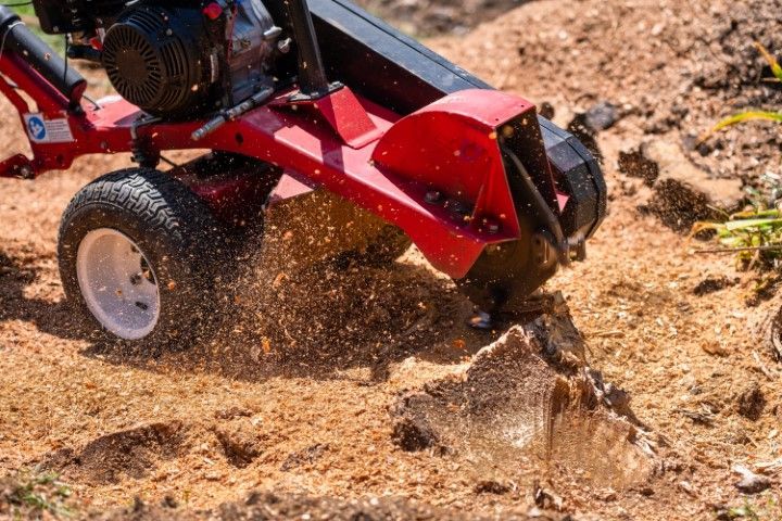 Red stump grinder in action, grinding a tree stump into wood chips.